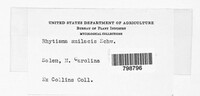 Image Associated With the Occurence